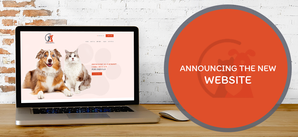 Read more on Announcing The New Website