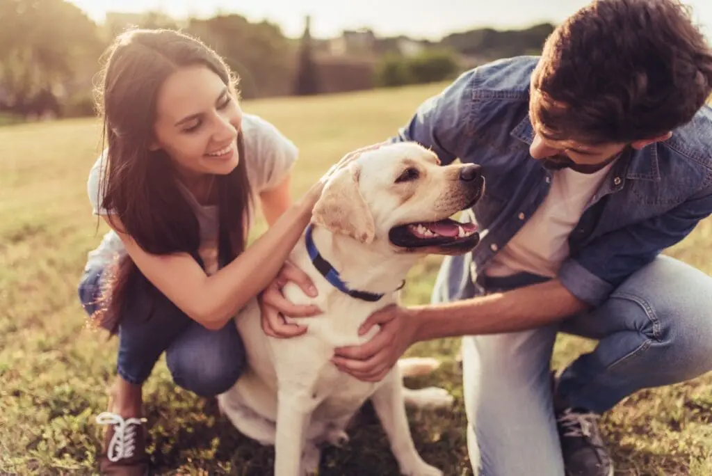 Couple exercising dog in the park