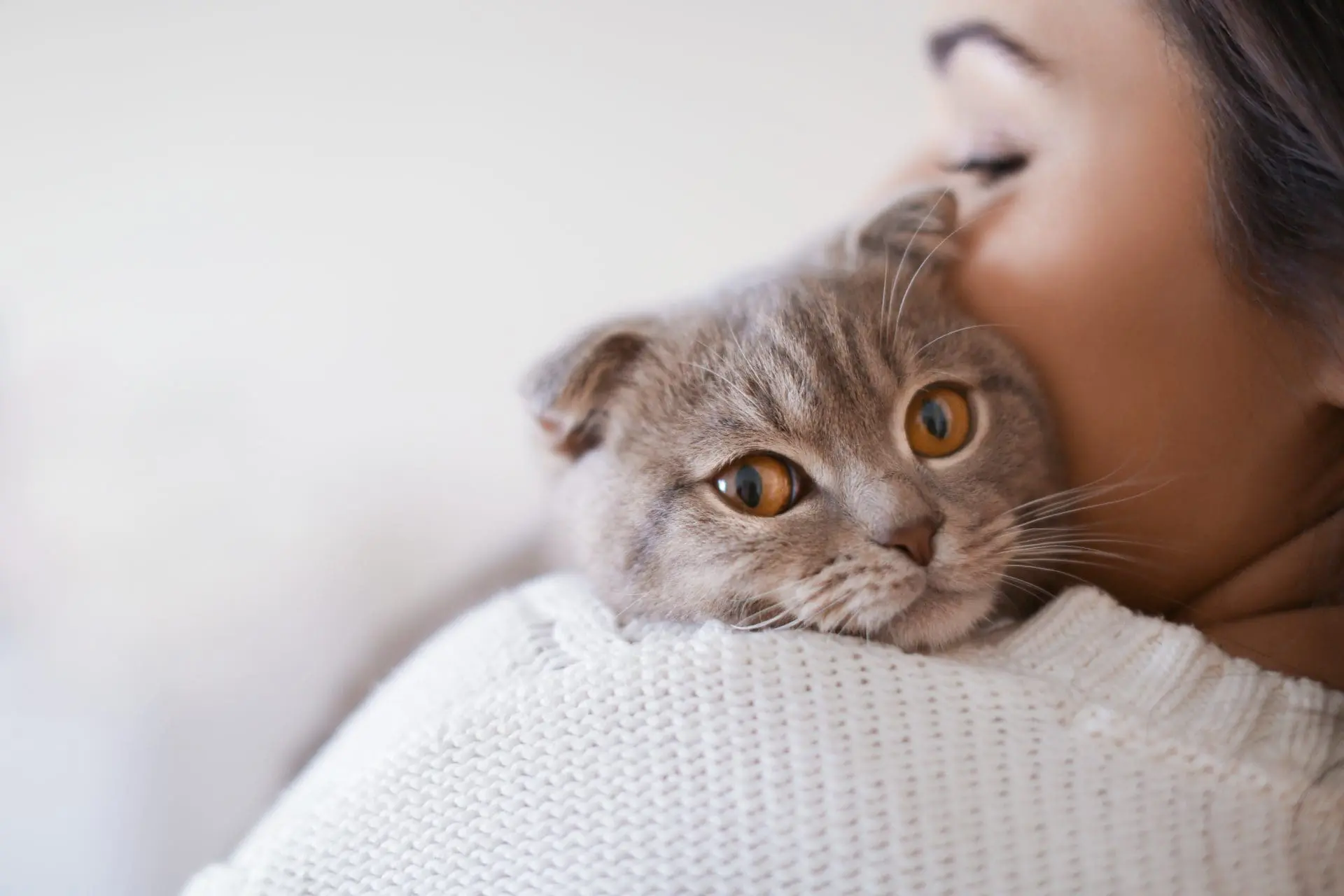 Kelowna veterinary clinic