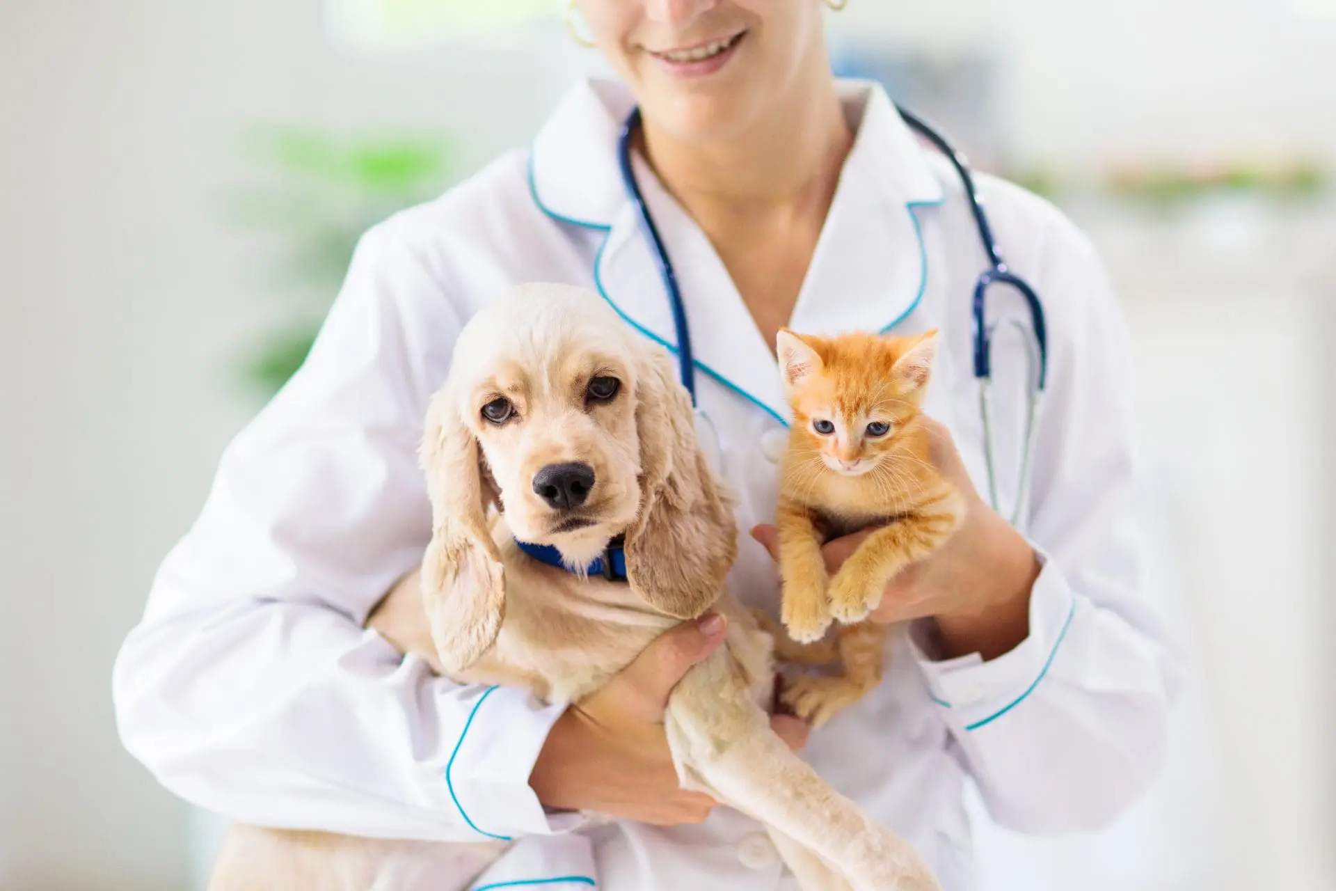 Flea and tick prevention