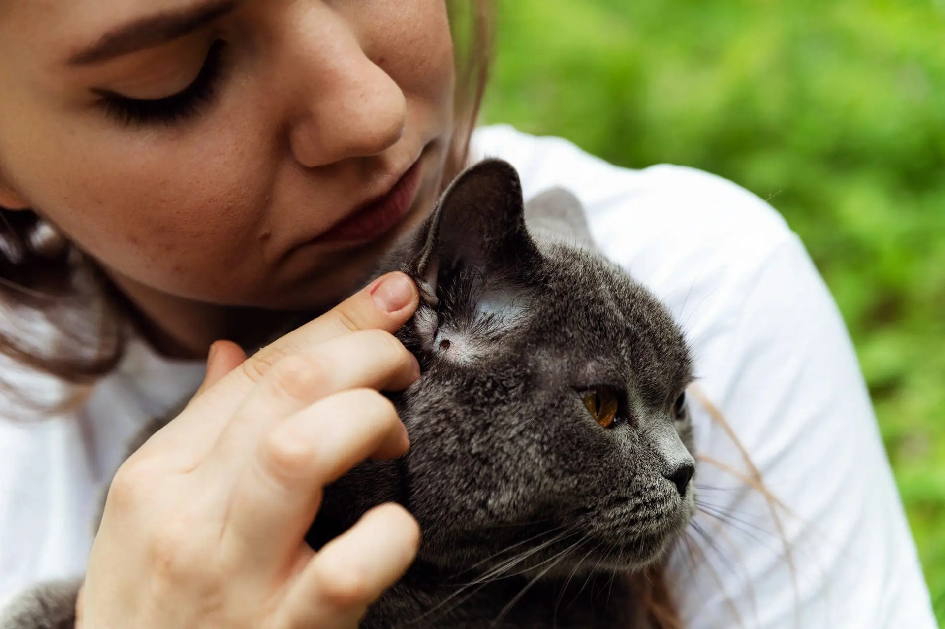 Kelowna vet clinics