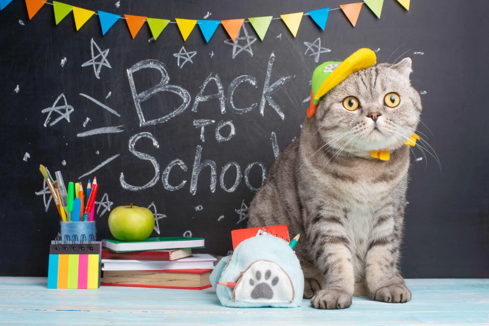 back to school pet anxiety
