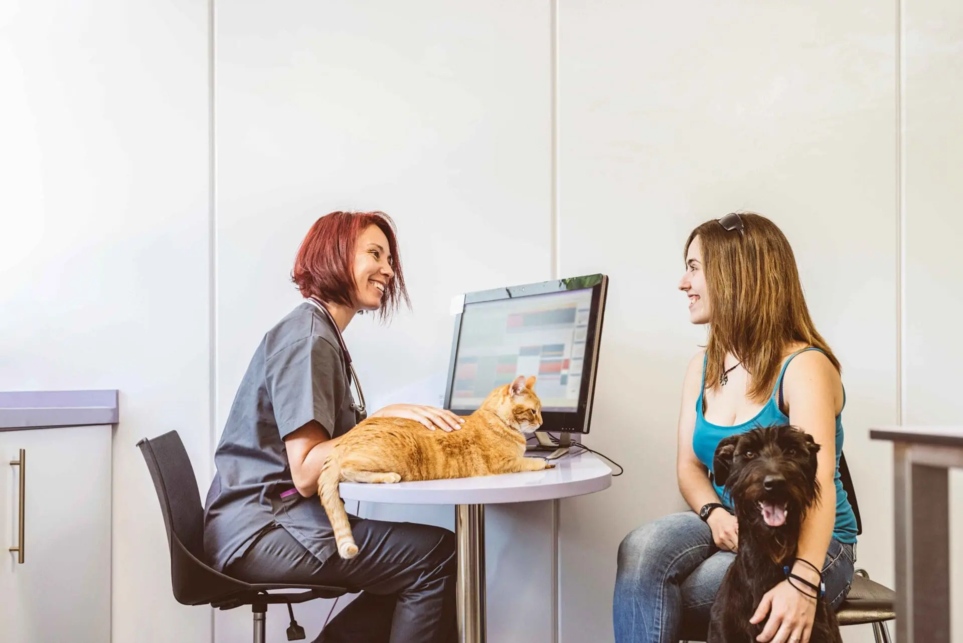 west kelowna vet clinic