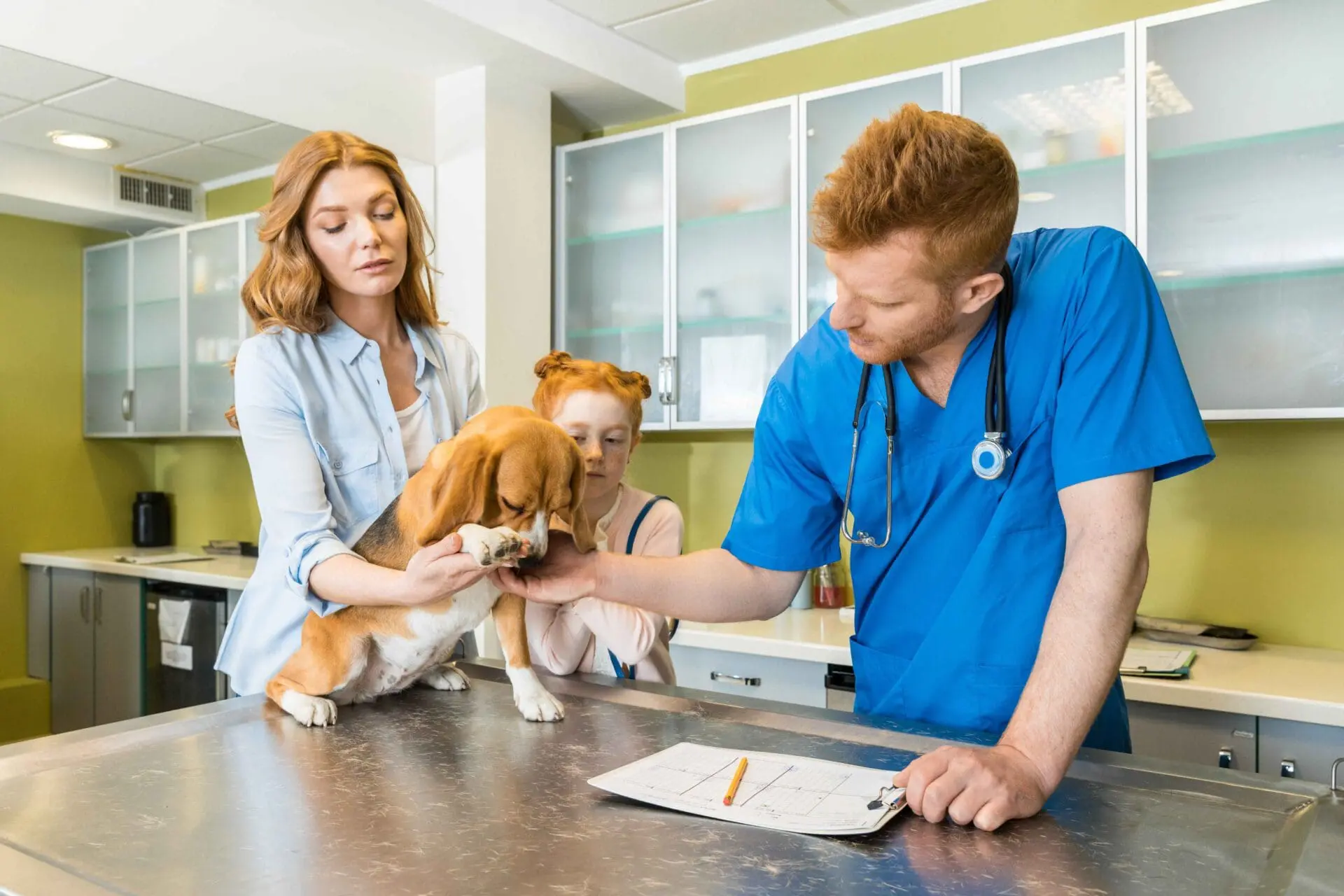 vet clinic in west kelowna