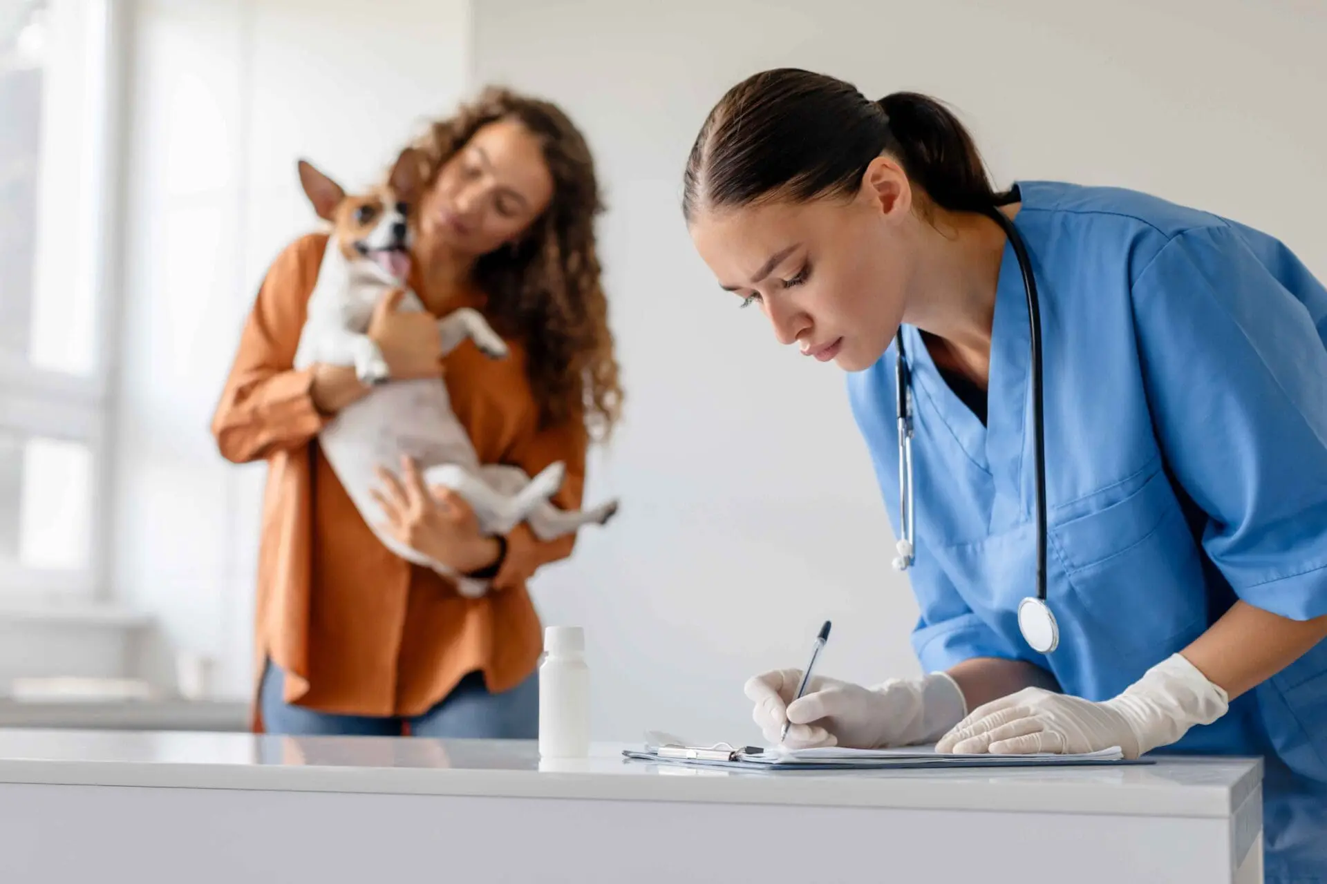 west kelowna vet office
