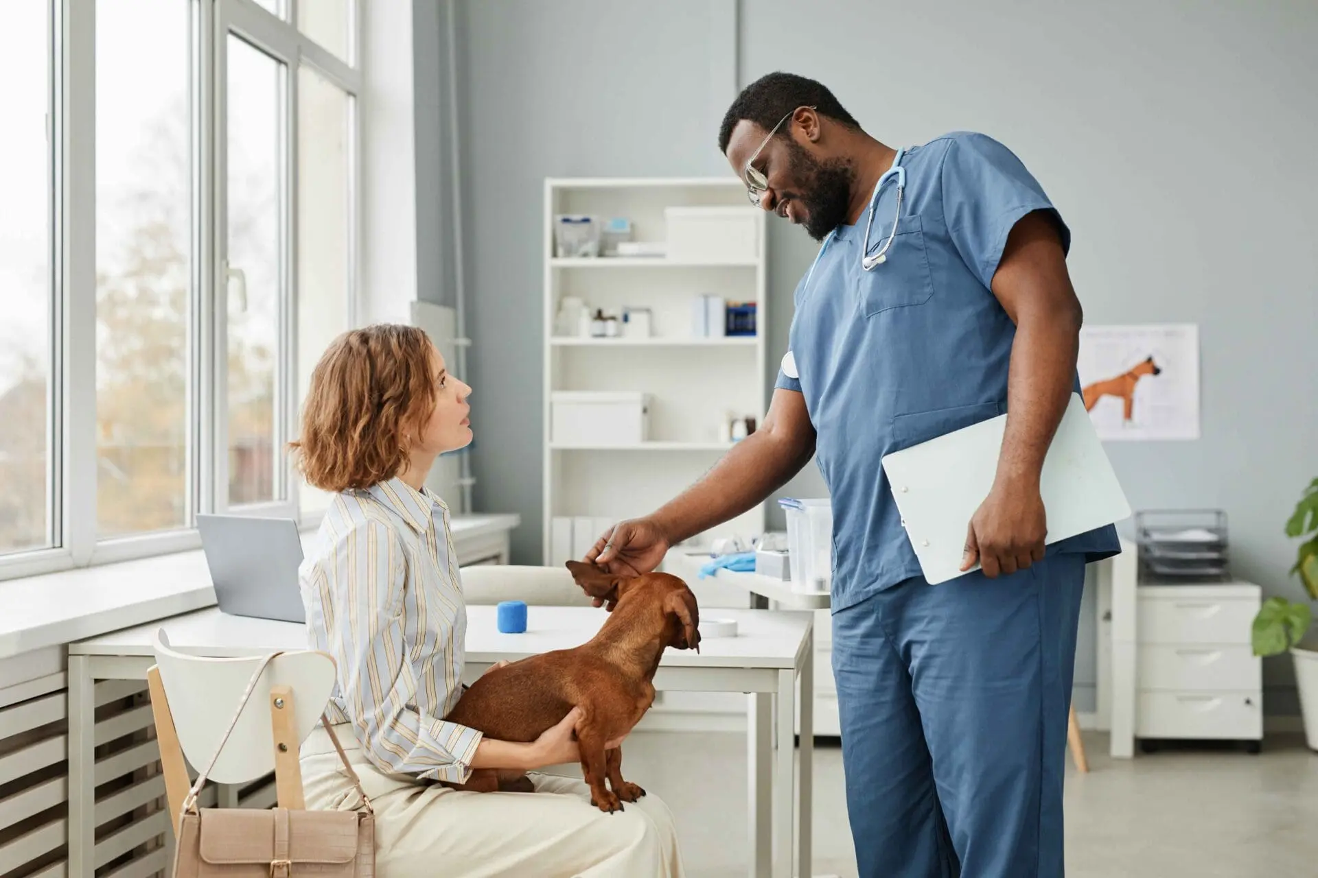 kelowna vet hospital