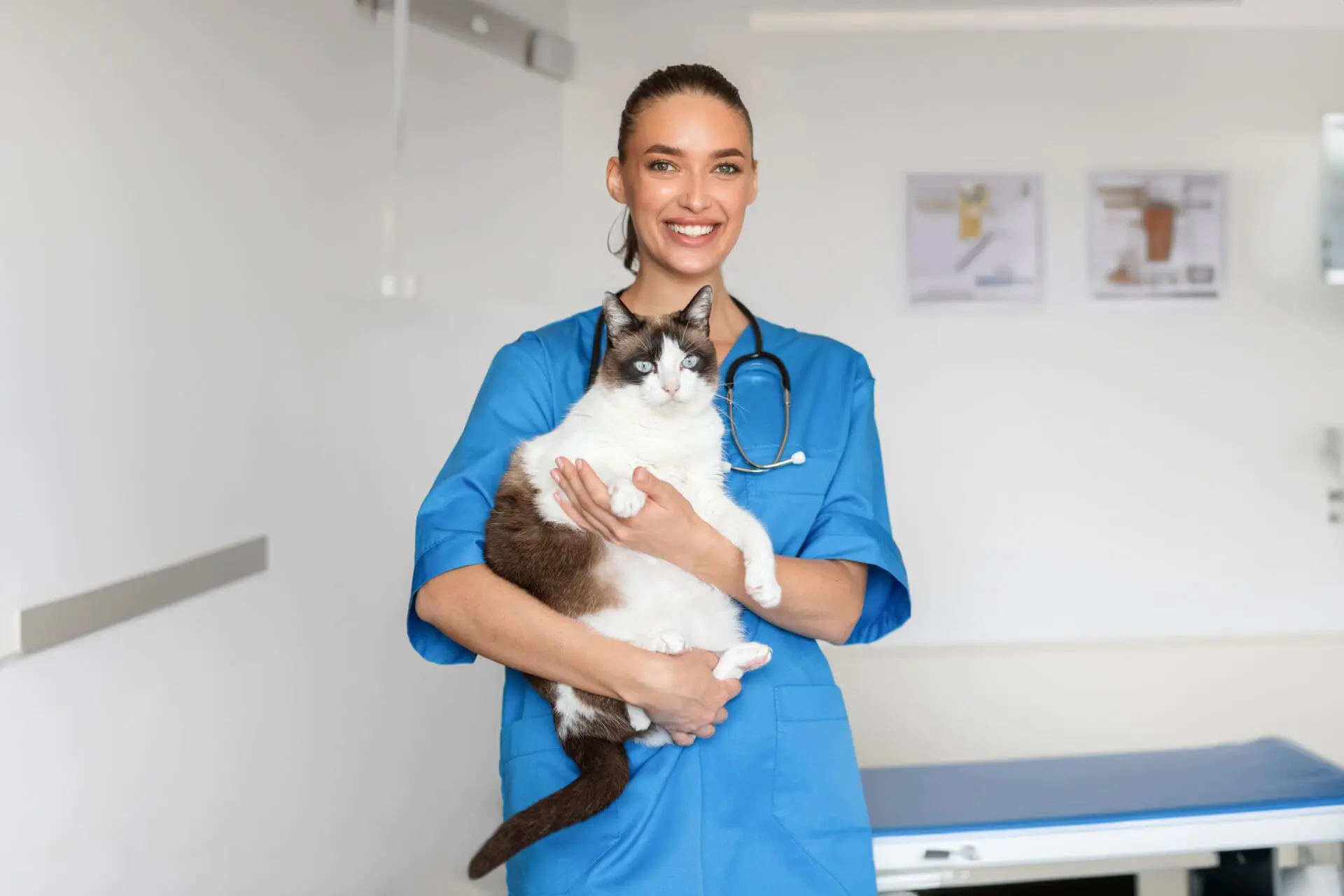 welcoming animal hospital in kelowna