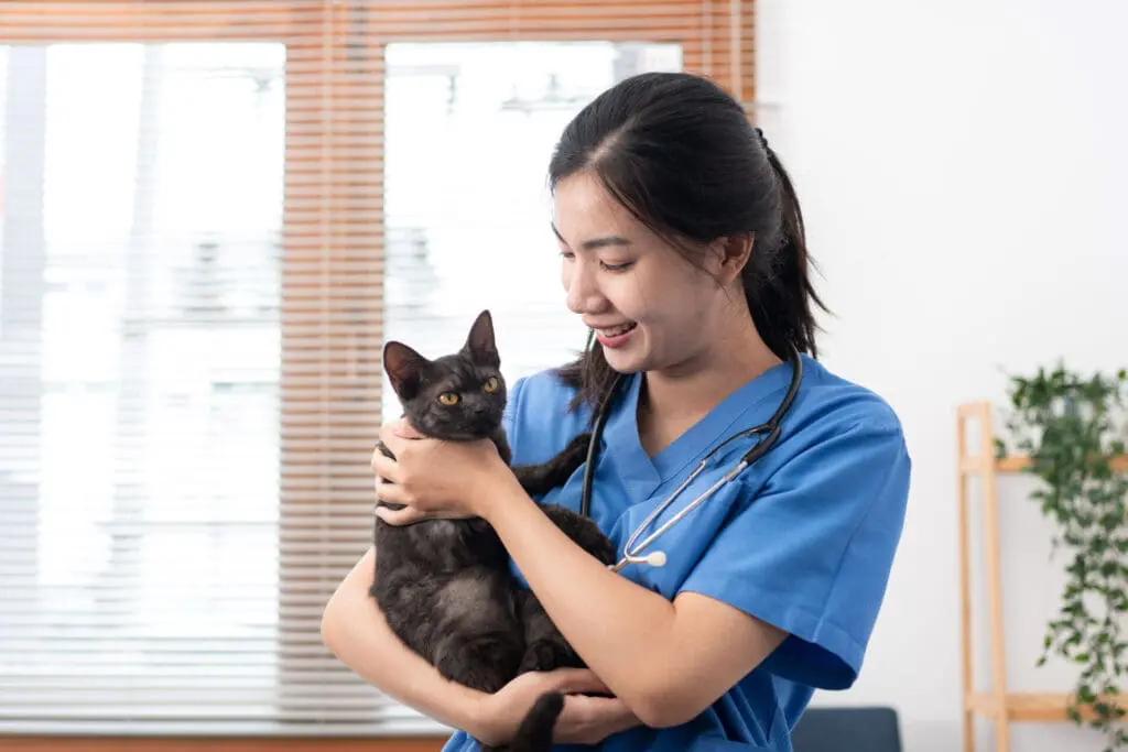 Kelowna vet examines cat