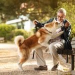 owner playing with dog