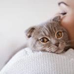 Kelowna veterinary clinic