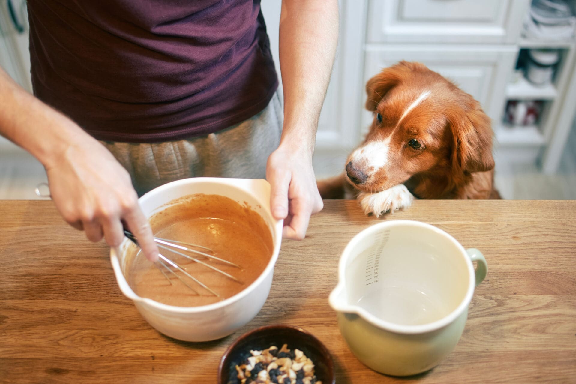 Creating homemade dog treats