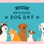 Animated dogs with "Happy National Dog Day" above it