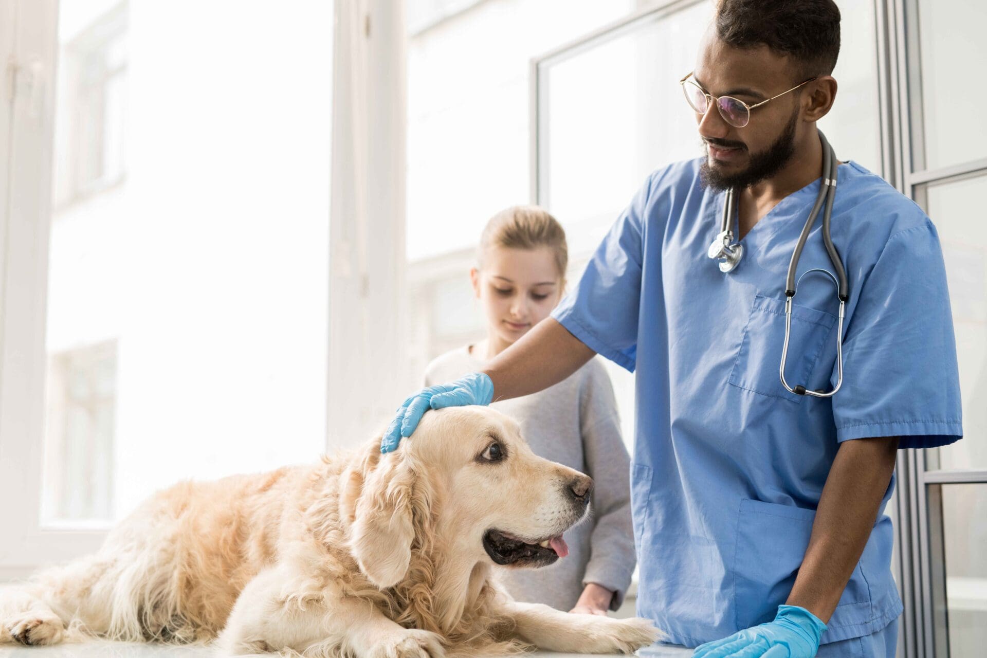 Spaying and neutering your dog