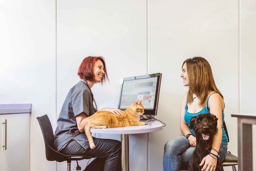 Read more on How to Choose a Vet Clinic in West Kelowna