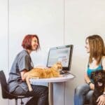 west kelowna vet clinic