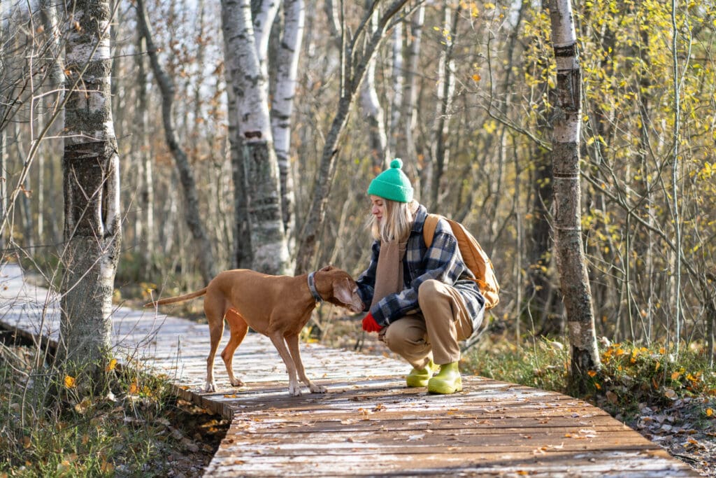 Dog friendly hike 