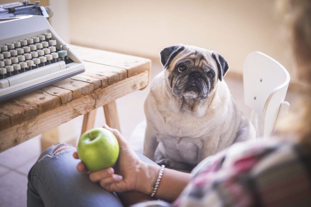 fruits dogs can eat
