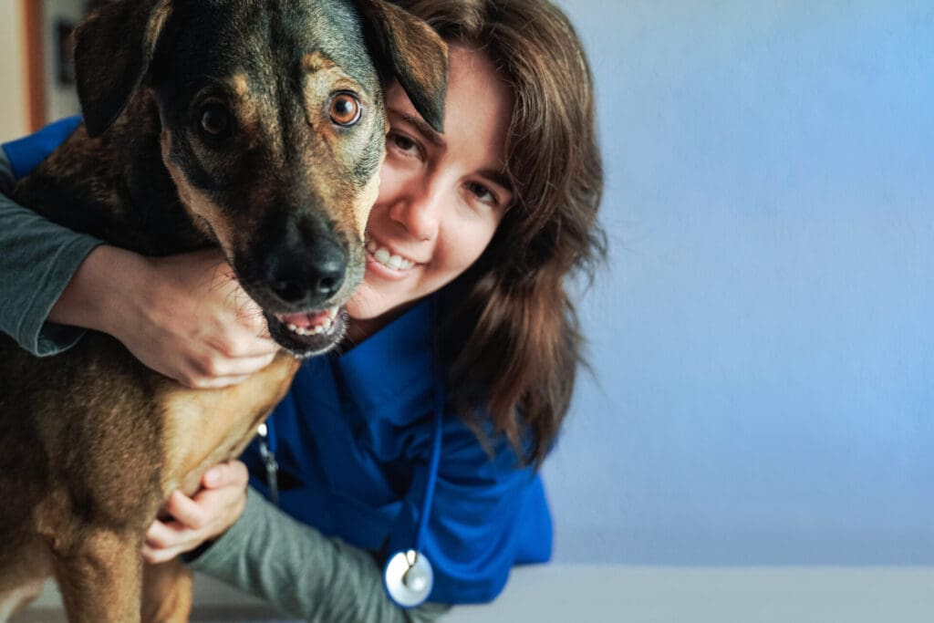 Kelowna vet welcoming a dog at a local animal hospital