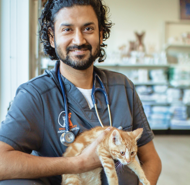 Kelowna veterinarian team Dr. Amandeep Singh