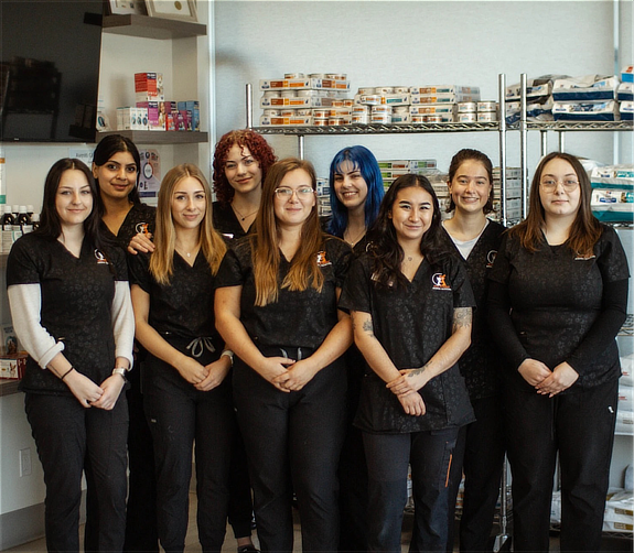 Veterinary clinic kelowna team